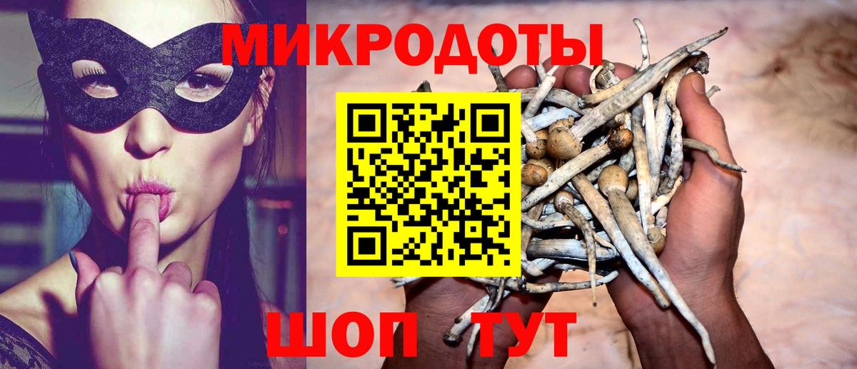 Псилоцибиновые грибы Cubensis  Вход с VPN  Галлюциногенные грибы ЛСД  Щёлково 