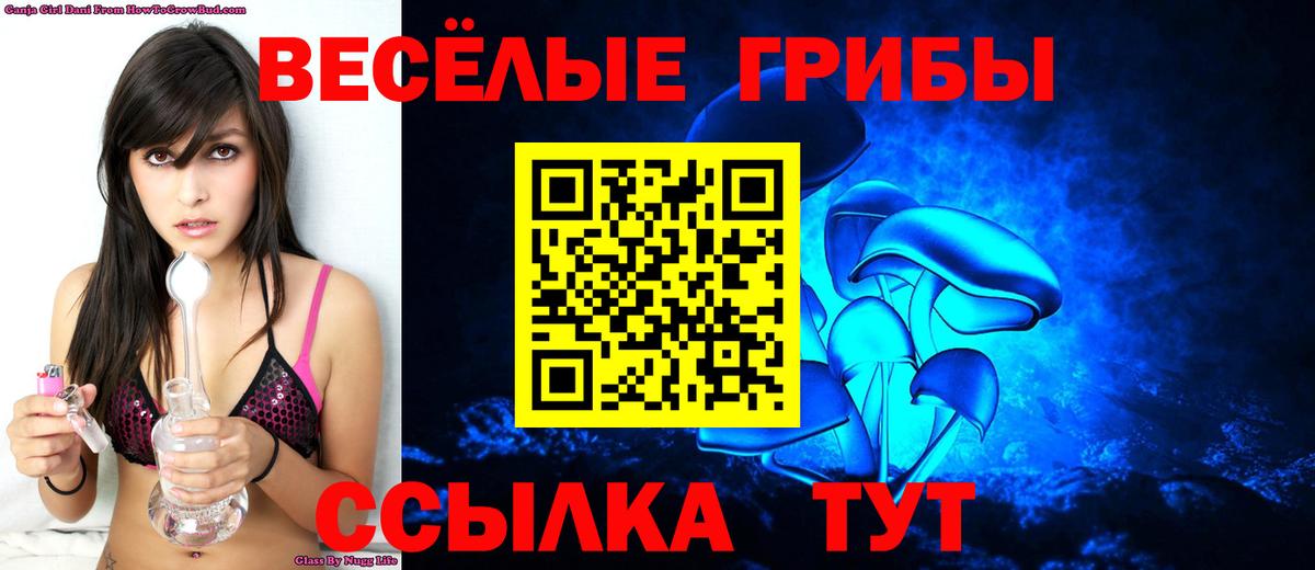 Псилоцибиновые грибы Magic Shrooms Щёлково